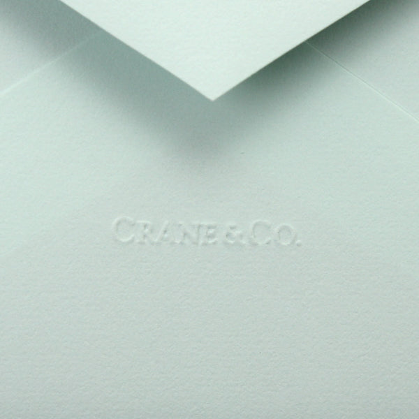 Crane Thank You Note Card Set, CT1420 (Starfish)