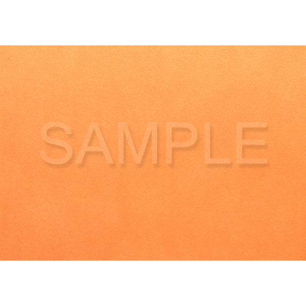 Yayoi Fujiwara yaya82 Postcard Set