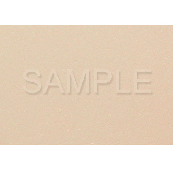 Yayoi Fujiwara yaya84 Postcard Set
