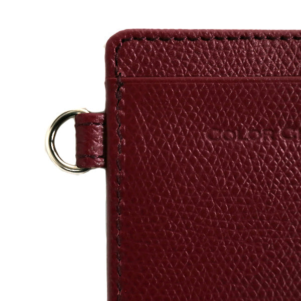 Color Chart Pass Case