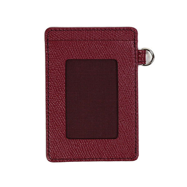 Color Chart Pass Case