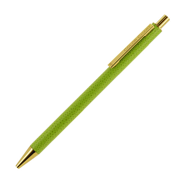 Color Chart Leather-Wrapped Ballpoint Pen