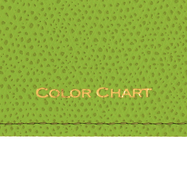 Color Chart Photo Frame L, Landscape