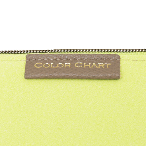 Color Chart Travelers Triangle Pen Case