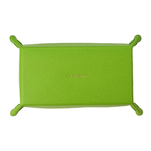 Color Chart Leather Tray