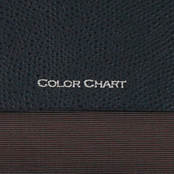 Color Chart Memo, S