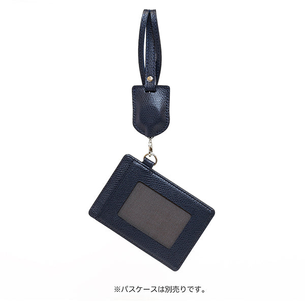 Color Chart Reel Strap S