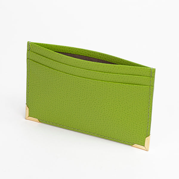 Color Chart Card Case