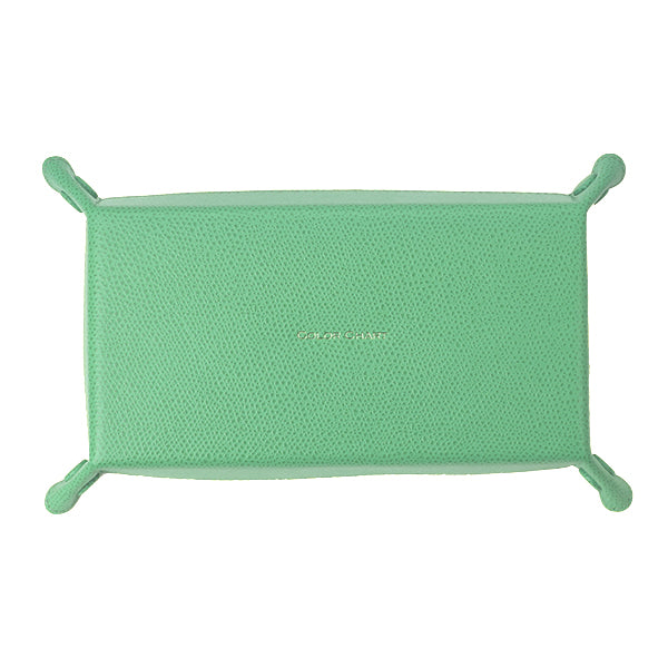 Color Chart Leather Tray