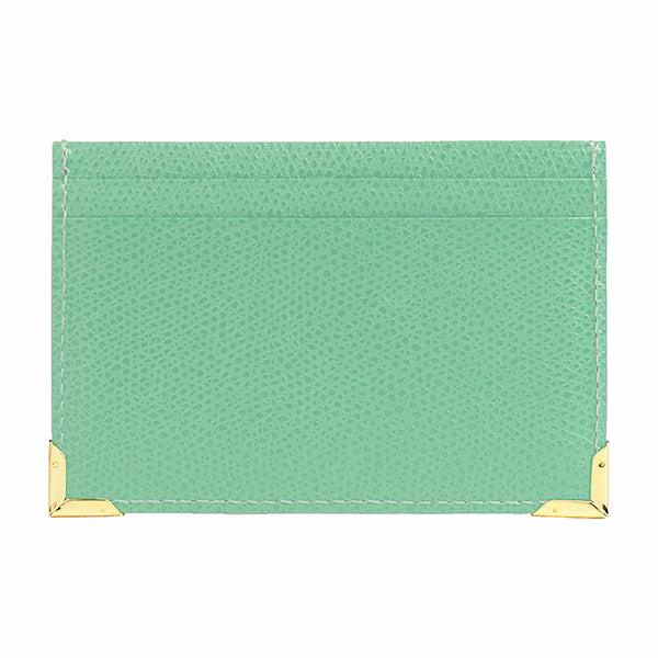 Color Chart Card Case