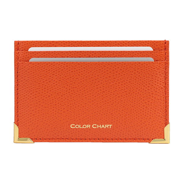 Color Chart Card Case