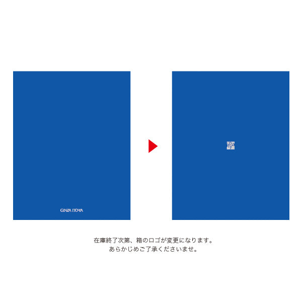 Itoya Japanese Letter Paper, One-Sheet Letter Gift Set, 8 Vertical Lines, A-111