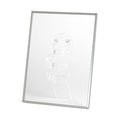 Itoya Trap Frame 11 × 14, Silver