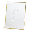 Itoya Trap Frame 14 × 18