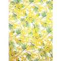 Tassotti Wrapping Paper, Mimosa