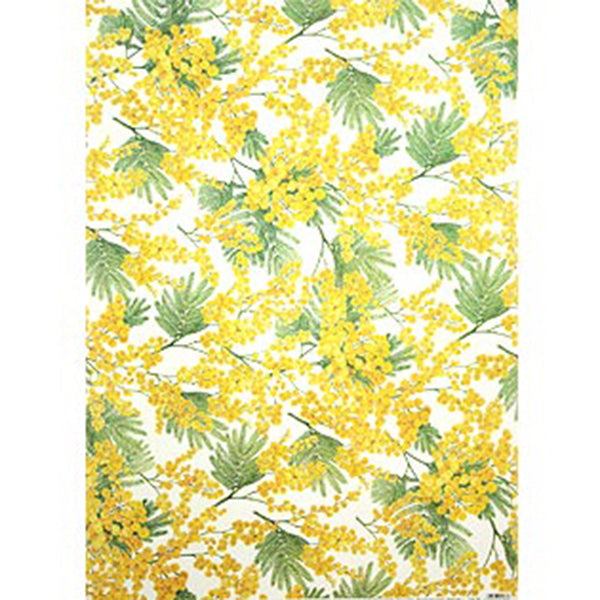 Tassotti Wrapping Paper, Mimosa