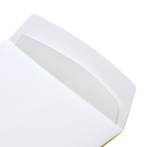 Itoya Japanese Letter Paper, One-Sheet Double Envelope, Postcard Size, AN-252