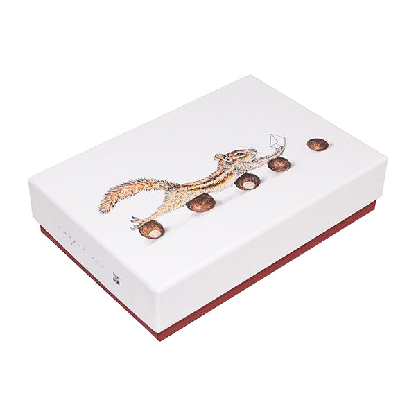 Itoya Naoya Hata Art Box M (Squirrel)