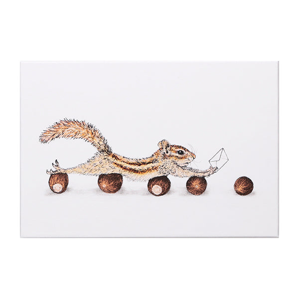 Itoya Naoya Hata Art Box M (Squirrel)