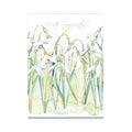 Ring Design Sympathy Card, GHS142W (Snowdrop)