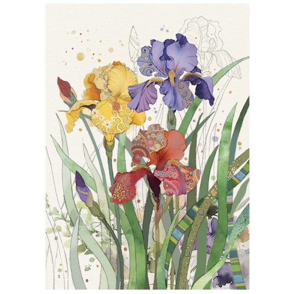 Bug Art Blank Card, B060 (Iris)