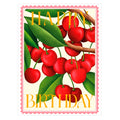 Art File Birthday Card, CB20A (Color Burst, Cherry)