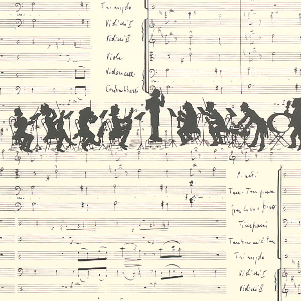 Tassotti Wrapping Paper, 0143 (Band)