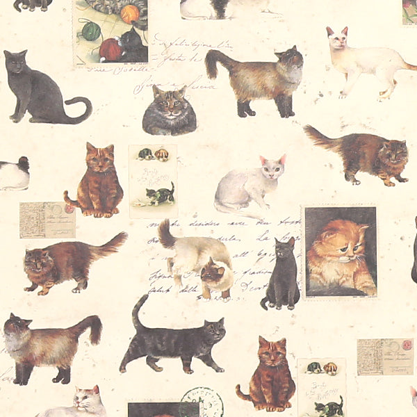 Tassotti Wrapping Paper, 0471 (Cat Stamps)