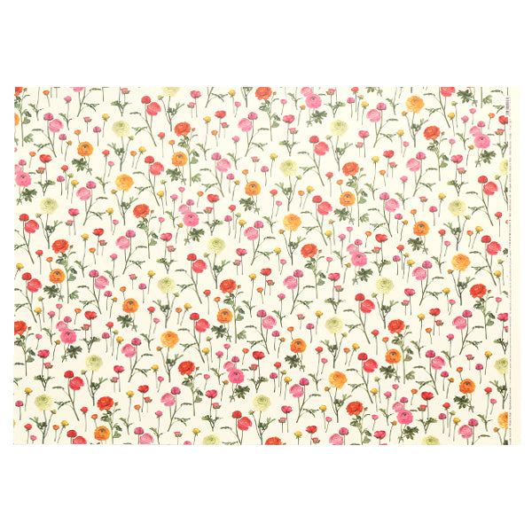 Tassotti Wrapping Paper, 1443 (Ranunculus)