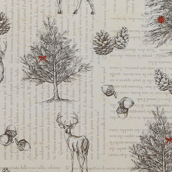 Tassotti Wrapping Paper, 1492 (Voices of the Forest)