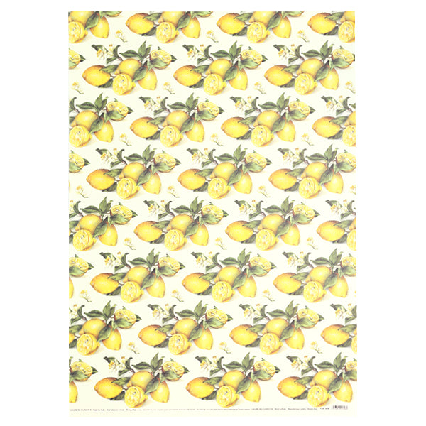 Tassotti Wrapping Paper, 1698 (Lemon)