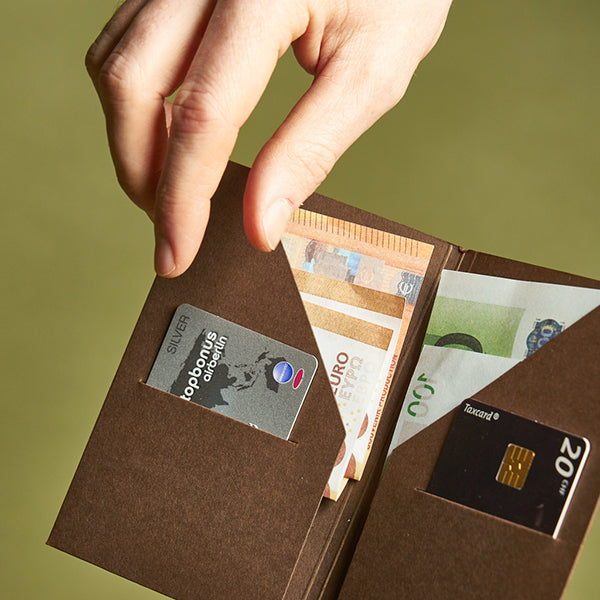Paper Republic Card & Cash Holder, Pocket